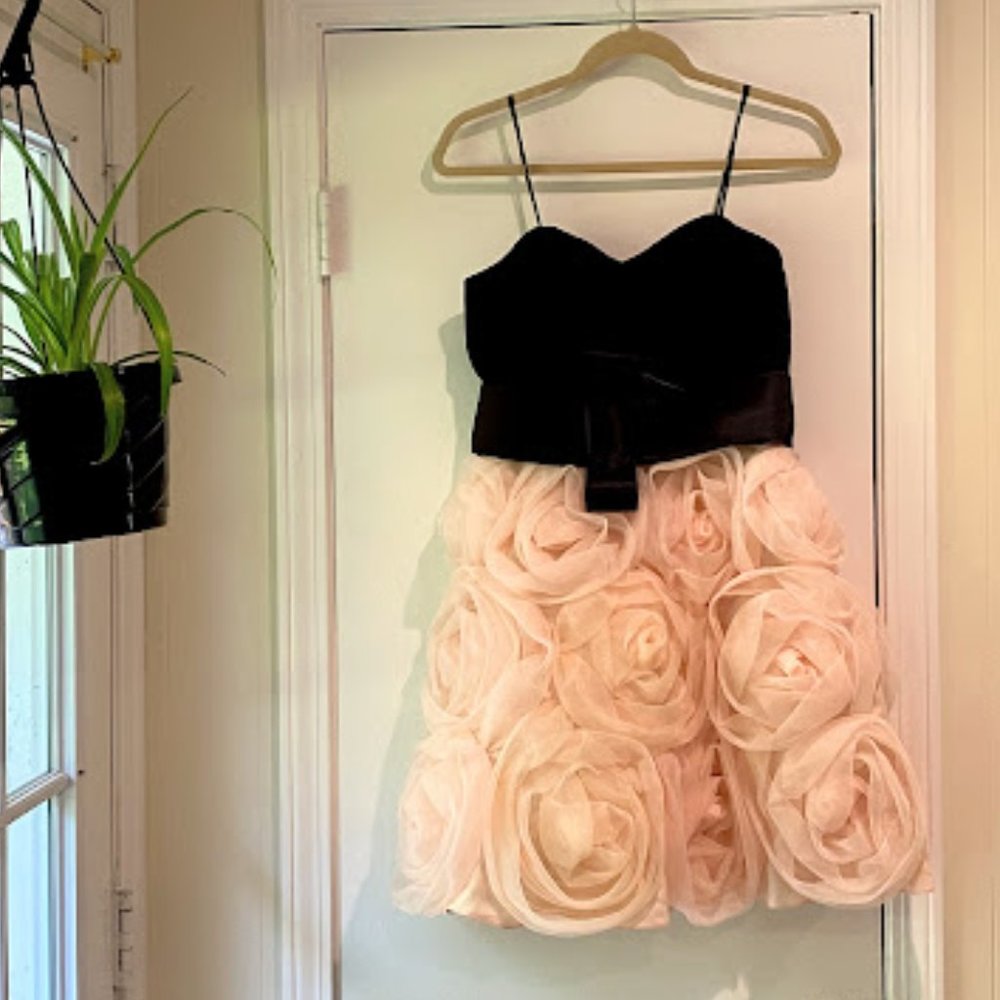 JS Collections dress size 8 - Picture 5 of 7